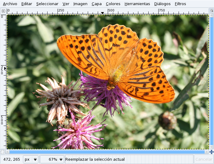 Foto abierta en GIMP