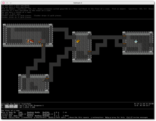 [NetHack 4]