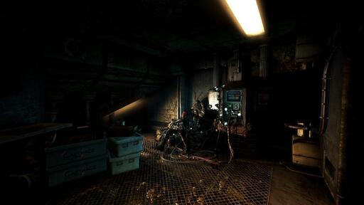 [SOMA]